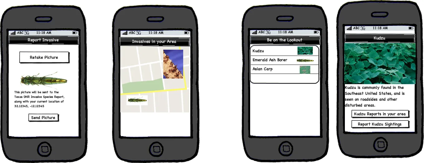 Screenshots of Balsamiq Wireframes for the Invasive Species App